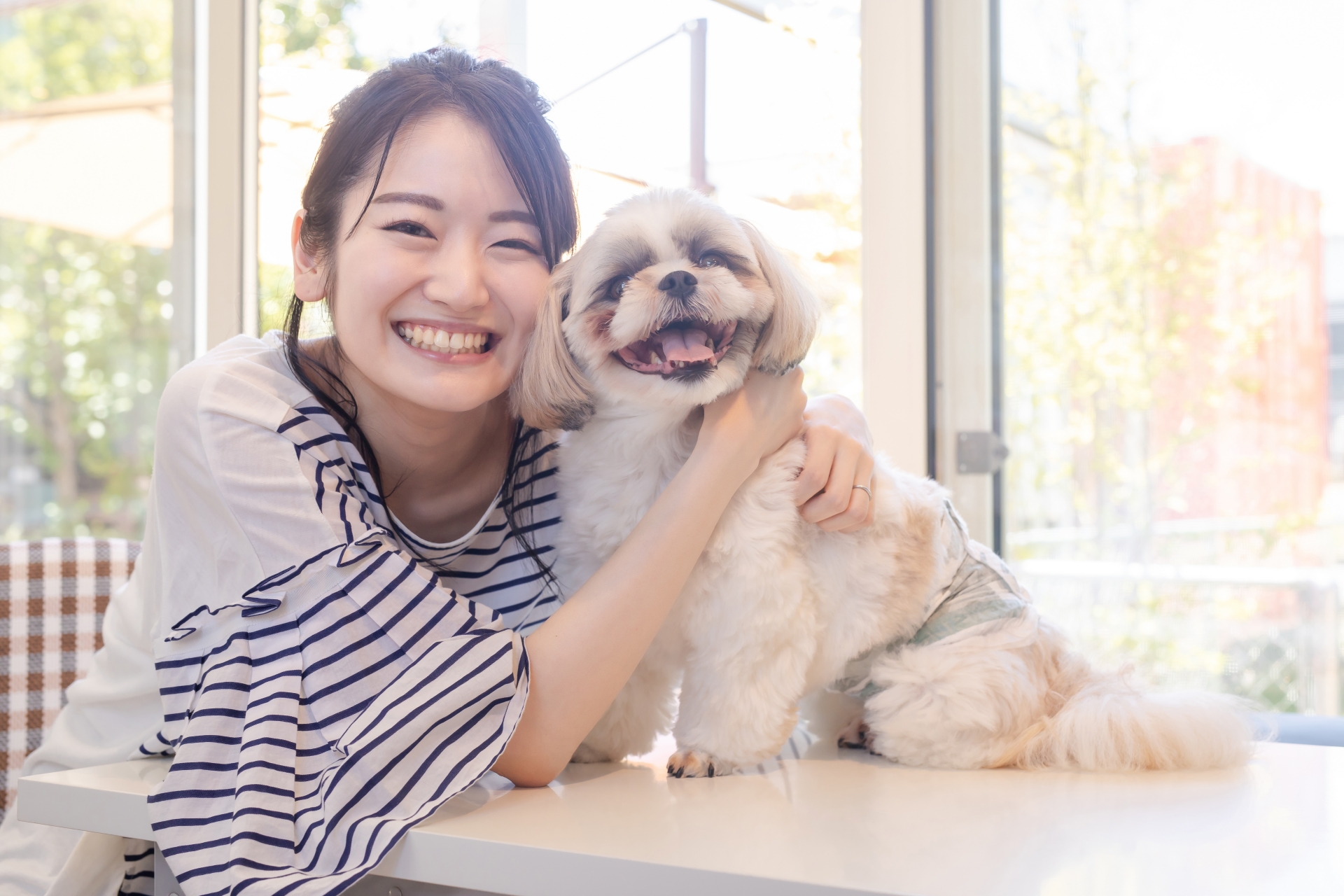 犬や猫と暮らすエアコンクリーニングは植物洗剤がオススメです。