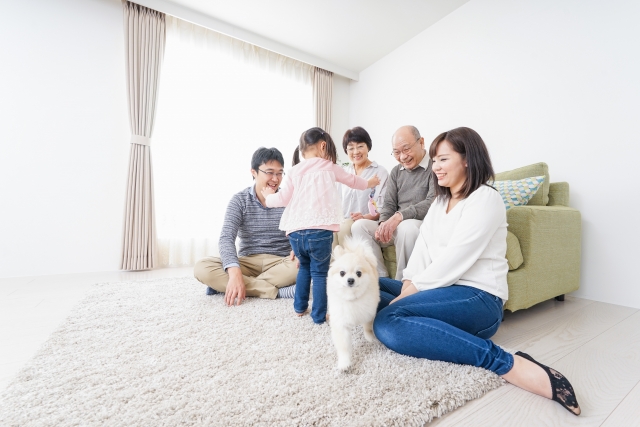 【箕面】赤ちゃんペットがいる家庭でも安心なハウスクリーニングの選び方