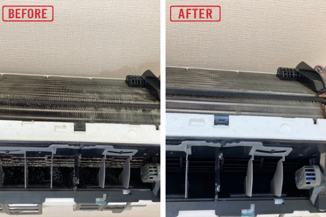 【箕面】赤ちゃんペットがいる家庭でも安心なハウスクリーニングの選び方