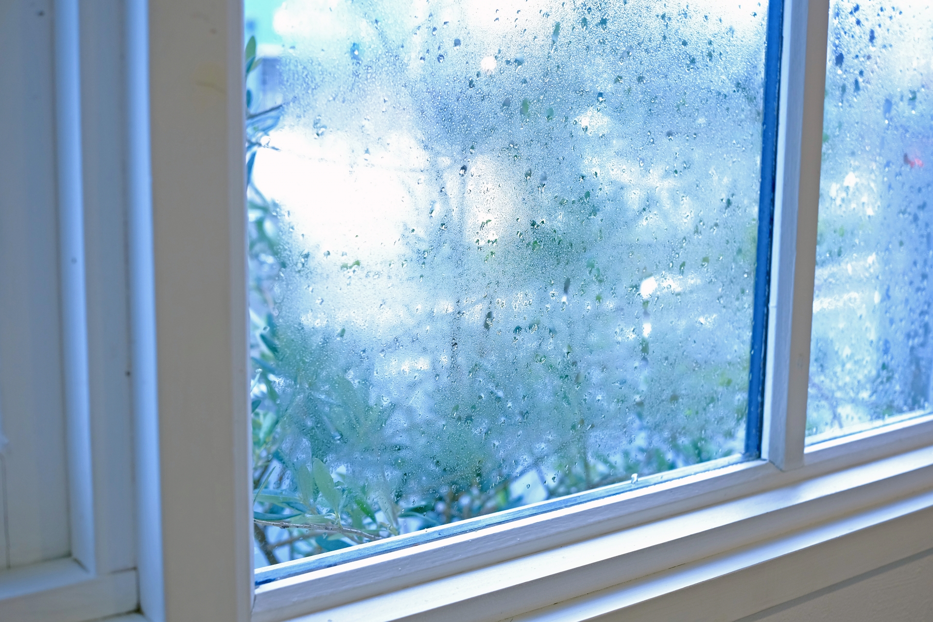 大寒時期。窓の結露対策と掃除の工夫