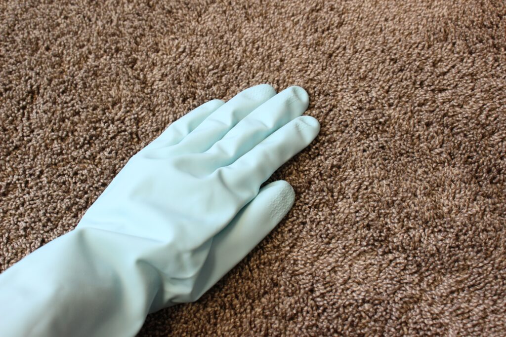 ナチュラルクリーニングのプロ直伝!おうちのじゅうたん・カーペットをふわっとキレイに保つ掃除のコツ