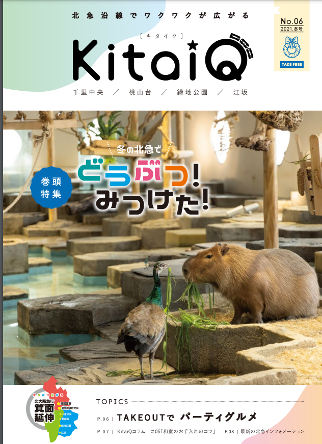 和室の掃除：kitaiQ2021冬号の記事監修いたしました